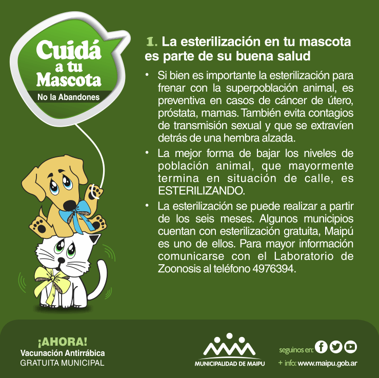 cuida-a-tu-mascota-1