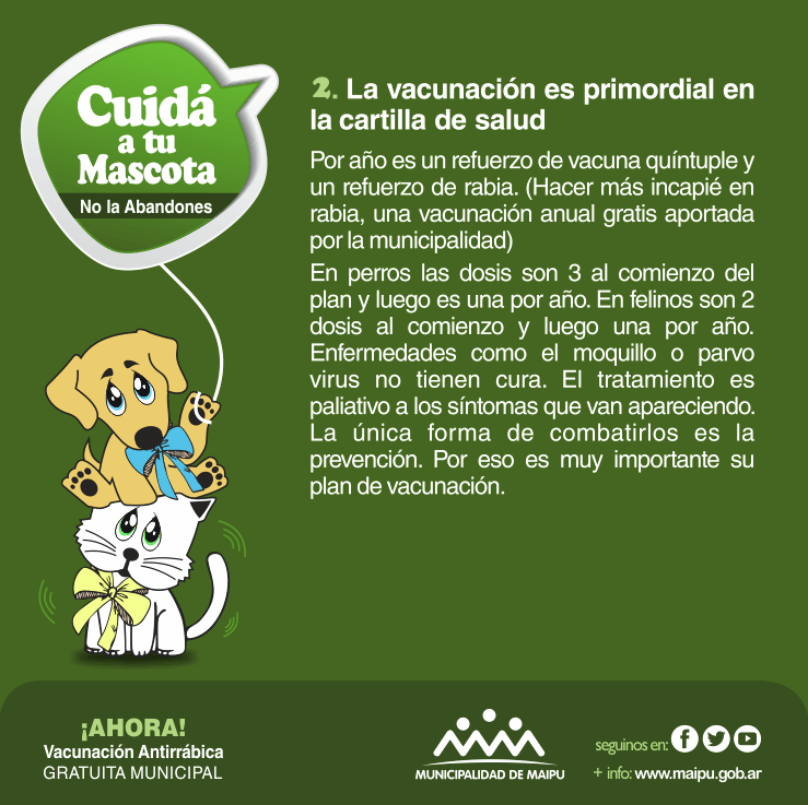 cuida-a-tu-mascota-2